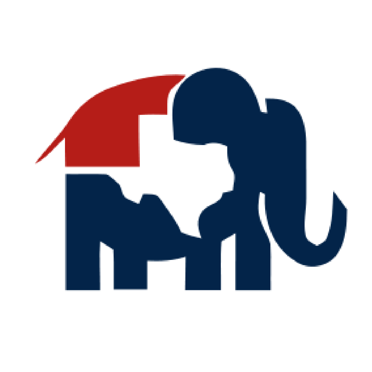 Dallas County Precinct 2023